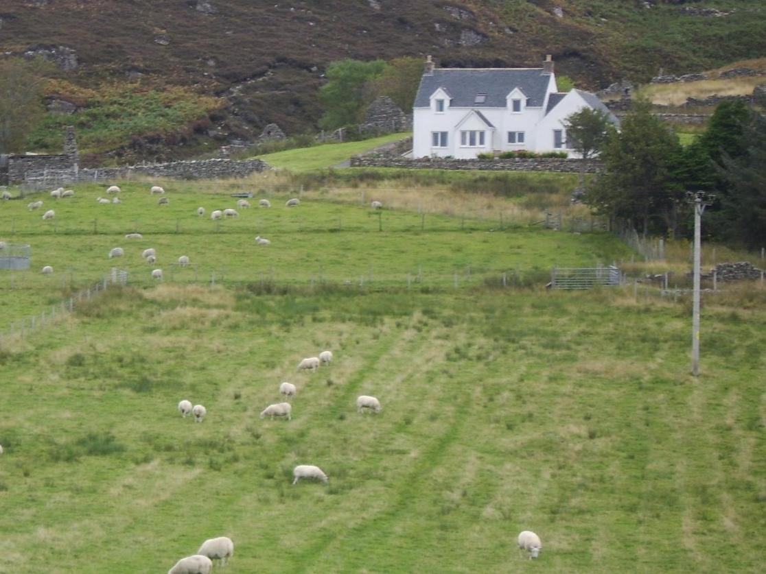 Top House Ullapool Zimmer foto